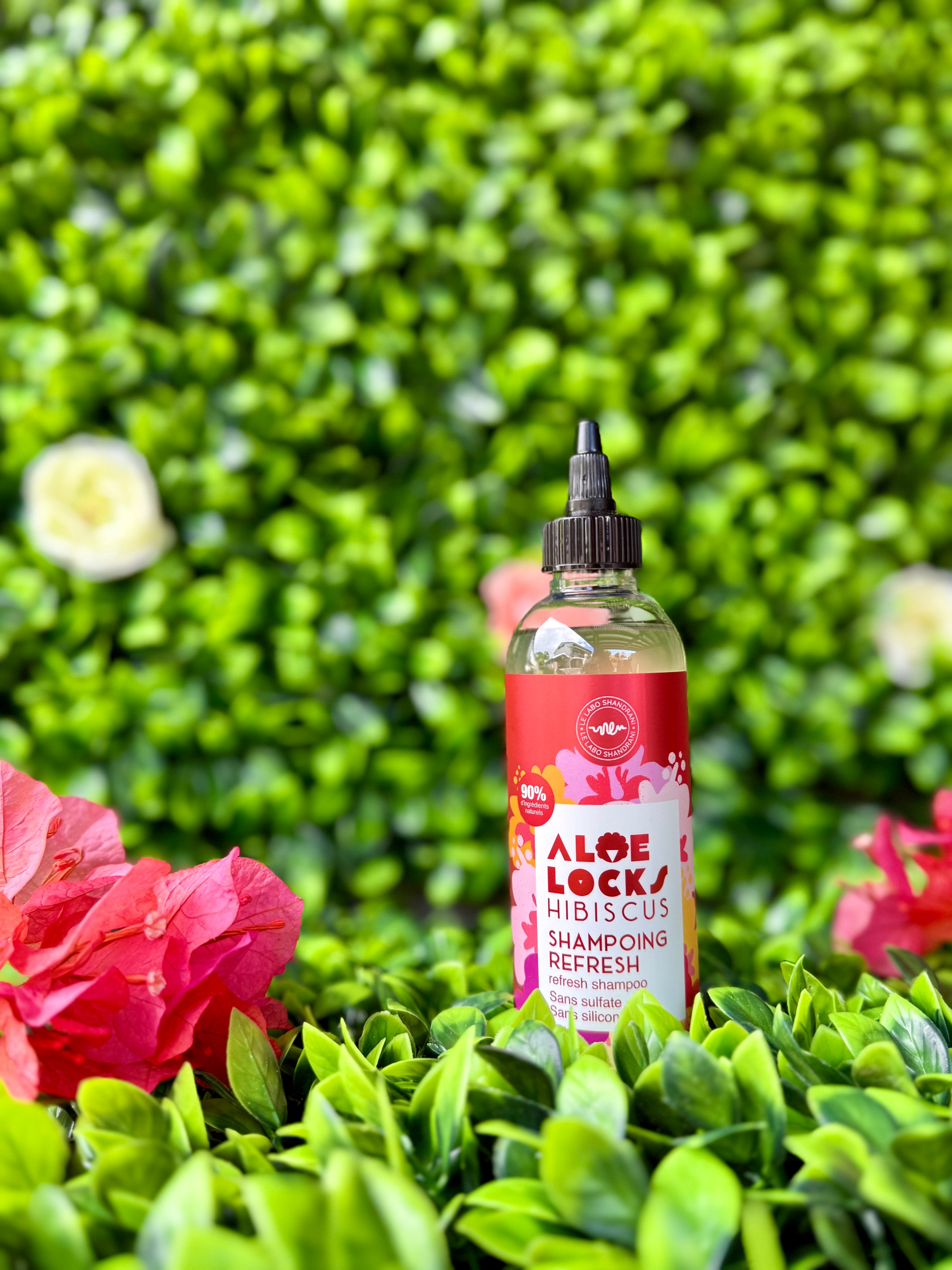 Aloe Locks - shampooing